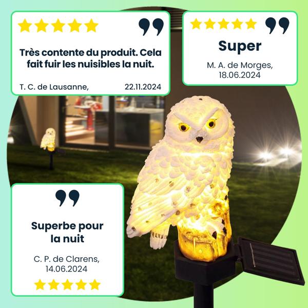 3 chouettes solaires à LED originales, résistantes aux intempéries – lampes solaires extérieures avec capteur crépusculaire – pour jardin et balcon