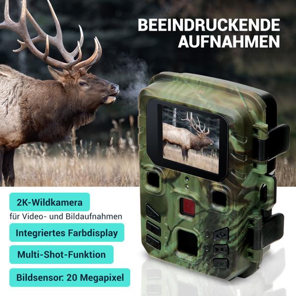 WiFi 2K wildlife camera with motion detector, night vision, time-lapse & continuous shooting, IPX5