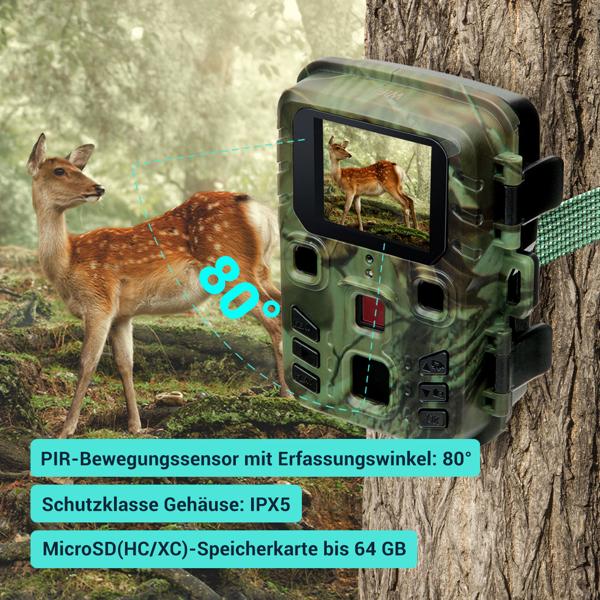 WiFi 2K wildlife camera with motion detector, night vision, time-lapse & continuous shooting, IPX5