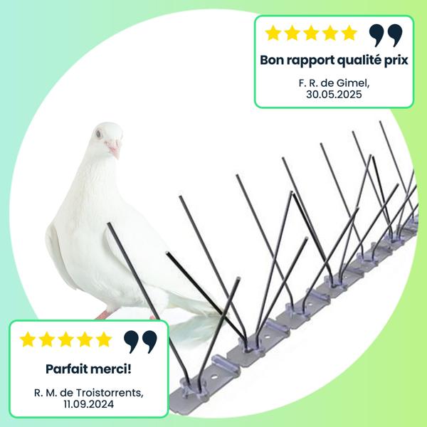 Lot de 10 pics anti-pigeons – 3 rangées de pointes en inox, 5 m de long, résistantes aux intempéries, longue durée de vie, pour balcons, toits et fenêtres