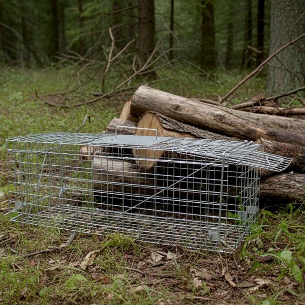 2 Pièges à Fouines Robustes - Capture Sans Nuire - 66x26x23 cm Métal Réutilisable - Poignée Anti-Morsure - Garage/Grenier - Écologique & Efficace