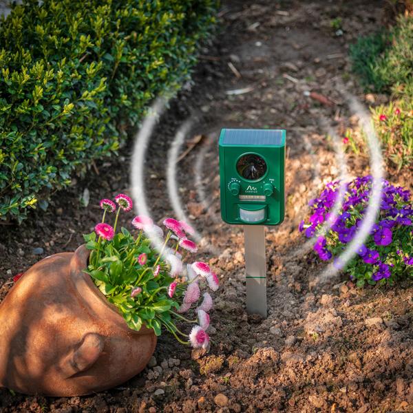 Universal Solar Tiervertreiber mit Ultraschall und Blitzlicht, 150 m² Reichweite, vertreibt Wild- und Haustiere, grün, sicherer Schutz