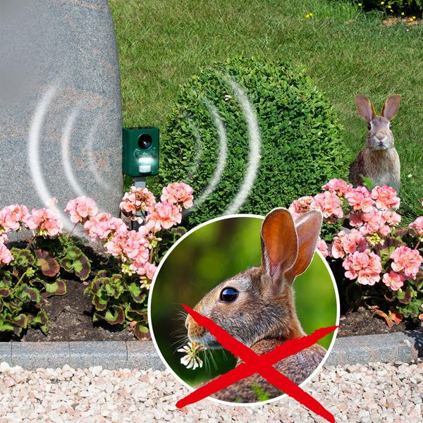 Universal Solar Tiervertreiber mit Ultraschall und Blitzlicht, 150 m² Reichweite, vertreibt Wild- und Haustiere, grün, sicherer Schutz