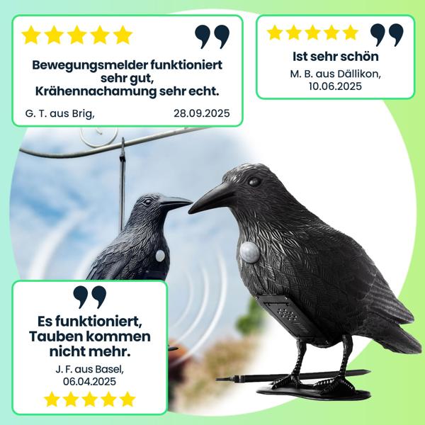 Realistische Vogelabwehr Krähe mit Sound: Batteriebetriebener Raben Vogelschreck für effektive Vogelabwehr. Natürliche Krähengeräusche zur Abschreckung