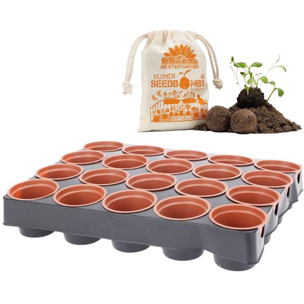 Lot de 2 : plateau de semis avec 20 pots & lot de 8 bombes de graines pour pots – 6 variétés de fleurs : mauve, zinnia, bleuet, souci, coquelicot