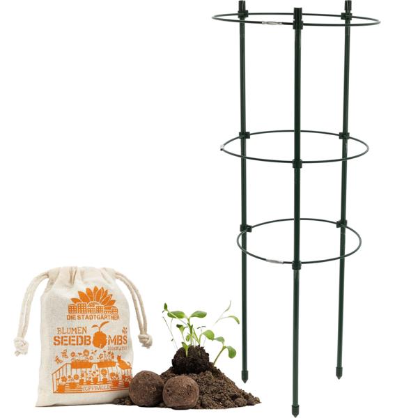 Plant support set & seed bombs for garden - Planting set with 8 seed bombs for colorful flowers - Perfect for a blooming garden