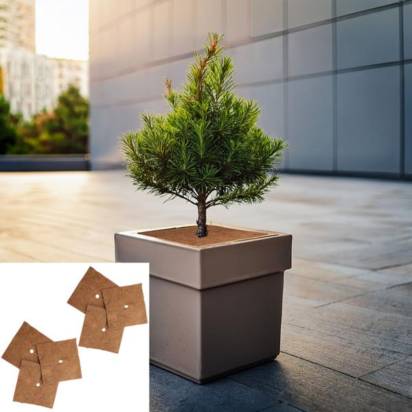 set of 6 frost protection coconut mats for potted plants, square, 38 x 38 cm