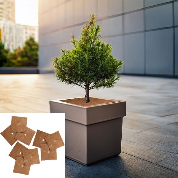 set of 9 frost protection coconut mats for potted plants, square, 38 x 38 cm