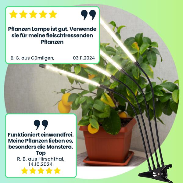 Profi Set: Vollspektrum LED Pflanzenlampe mit 4 Schwanenhälsen, Gewächshaus 100x150x50 cm für Tomaten & 20 Anzuchttöpfe – ideales Grow Kit