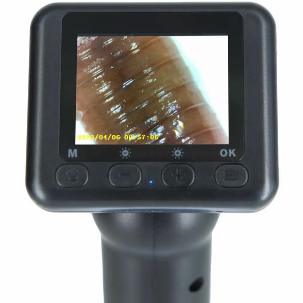 Digitales Mikroskop, 2 Zoll-LCD-Bildschirm, 1000x, PC-Anschluss - Sehen Sie die Welt in einem neuen Licht und erkunden sie im Detail