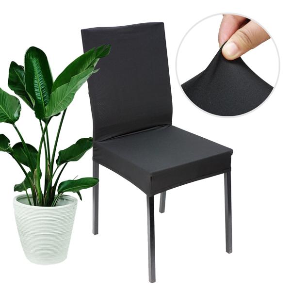 Elegant chair cover, black, set of 2, made of stretch with backrest cover, OEKO-TEX Standard 100