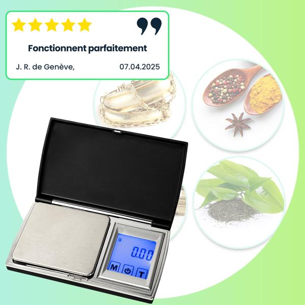 2 balances numériques de poche (500 g/0,01 g) avec écran tactile – pesée précise de bijoux, or, épices et plus – 7 unités
