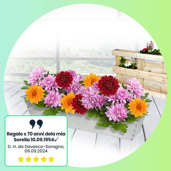 Fioriera di alta qualità - inserto perfetto per europallet, vaso da fiori in metallo zincato, 38,5 x 13,5 x 8,5 cm, per piantare e decorare