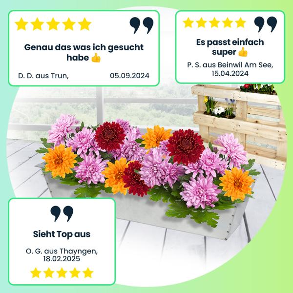 Hochwertiger Pflanzkasten - Einsatz perfekt für Europaletten, Blumenkübel aus verzinktem Metall, 38,5 x 13,5 x 8,5 cm, zum Bepflanzen und Dekorieren