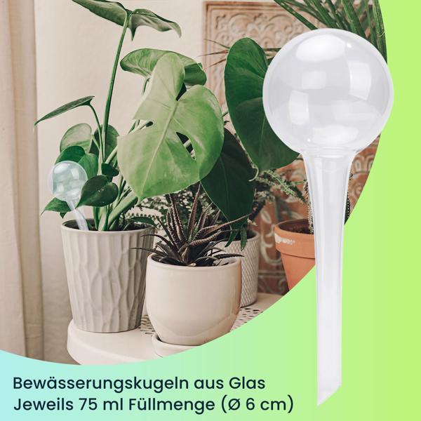 4er-Set Bewässerungskugeln aus Glas, transparent, Ø 6 x H 15 cm