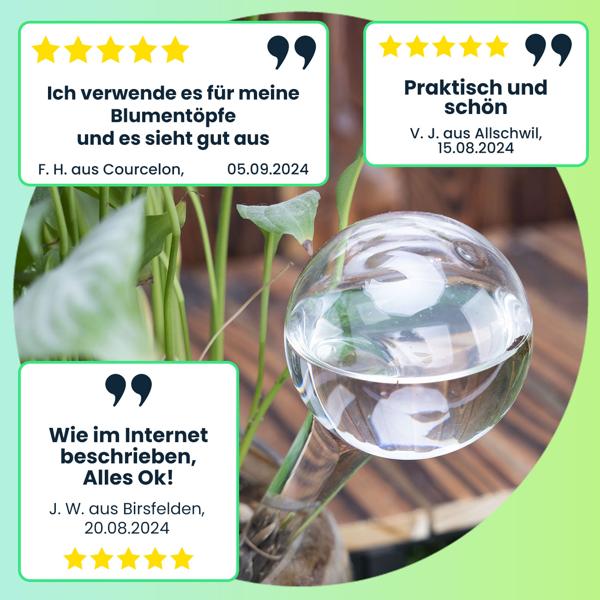4er-Set Bewässerungskugeln aus Glas, transparent, Ø 6 x H 15 cm