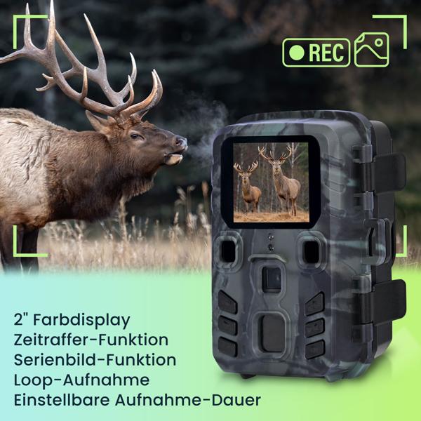 Kompakte Full-HD-Wildkamera mit Bewegungssensor und Nachtsicht inkl. Akku Solarpanel
