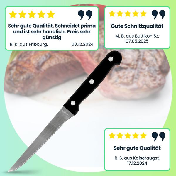 Steakmesser 6er-Set aus Edelstahl, Grillmesser mit gezackten Klingen, Länge 21 cm