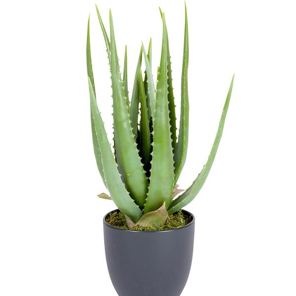 Artificial aloe vera plant in black plastic pot, height 45 cm