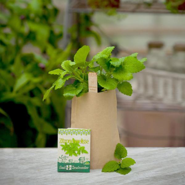 Set di semi di melissa, semi con terriccio da giardino, istruzioni, bastoncini per la semina