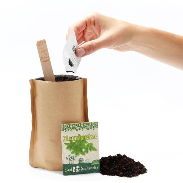 Set di semi di melissa, semi con terriccio da giardino, istruzioni, bastoncini per la semina