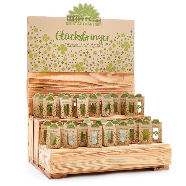 Glücksbringer, vierblättriges Kleeblatt hinter Glas