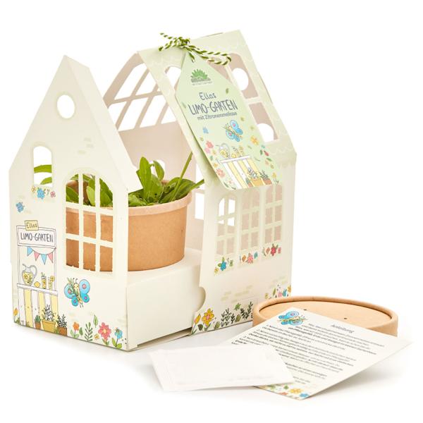 Petite serre mélisse citronnelle, kit de culture