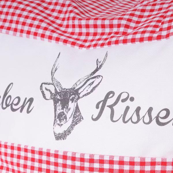 Lot de 2 coussins au pin cembro vichy rouge 40 x 40 cm, garnis de 450 g de copeaux de pin cembro naturels, housse 100 % coton bio, coussin d’aromathérapie pour le sommeil fabriqué en Allemagne