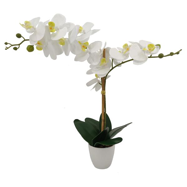Silk orchid white in pot, with 10 flowers, polyester, height 61 cm