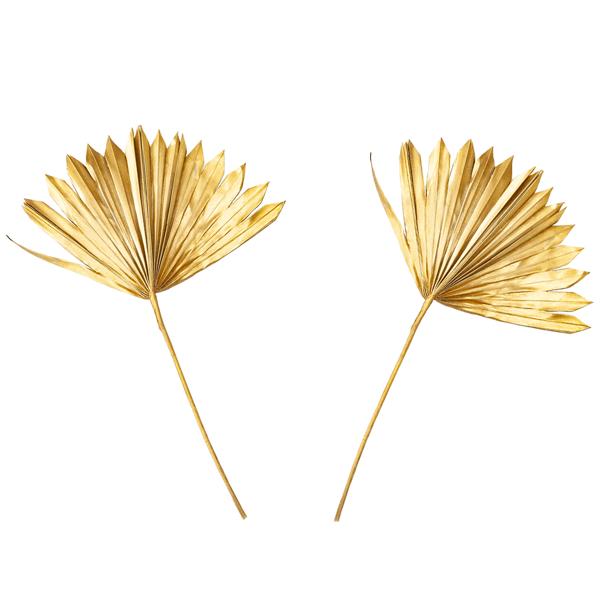 2-piece set of decorative dried palm leaves, gold, 40 x 45 cm