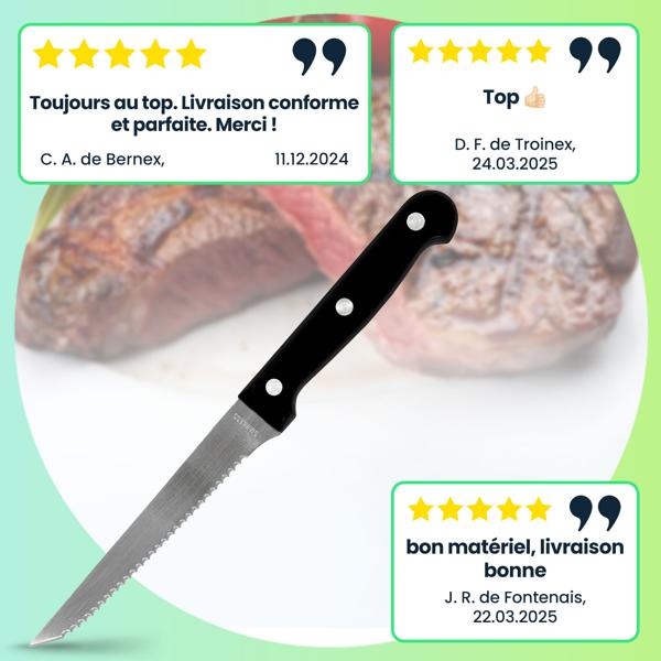 Lot de 6 Couteaux à Steak en Acier Inoxydable Dentelés - Idéal Viandes, Pizzas & Légumes - Lames 11cm Ergonomiques et Robustes - Usage Polyvalent