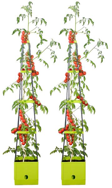 2er-Set Pflanz-Türme mit Rankhilfe für Tomaten, mit 2,5-l-Wassertank
