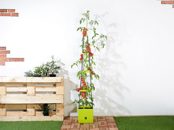 2er-Set Pflanz-Türme mit Rankhilfe für Tomaten, mit 2,5-l-Wassertank