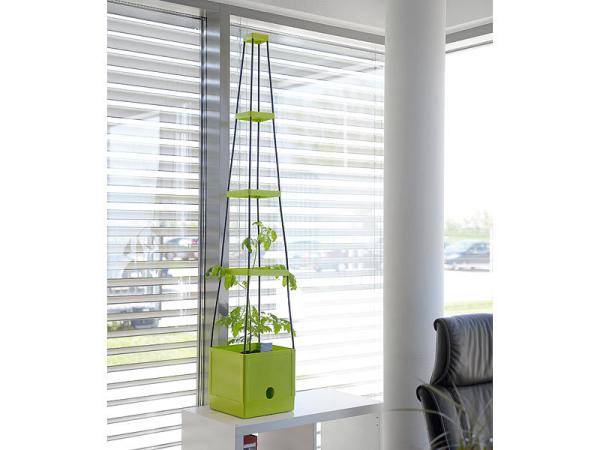 2er-Set Pflanz-Türme mit Rankhilfe für Tomaten, mit 2,5-l-Wassertank