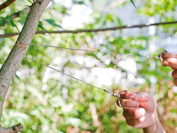 lot de 4 scies à fil de poche avec oeillets métalliques pour les randonnées en plein air et le camping