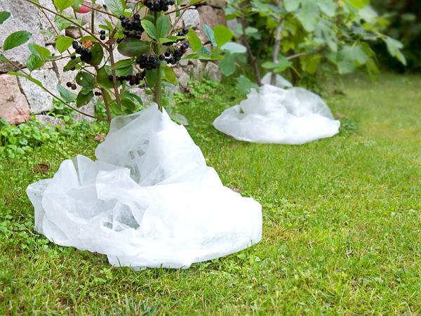 set of 2 frost protection garden fleece for microclimate, each 10 x 1.6 m, 17 GSM