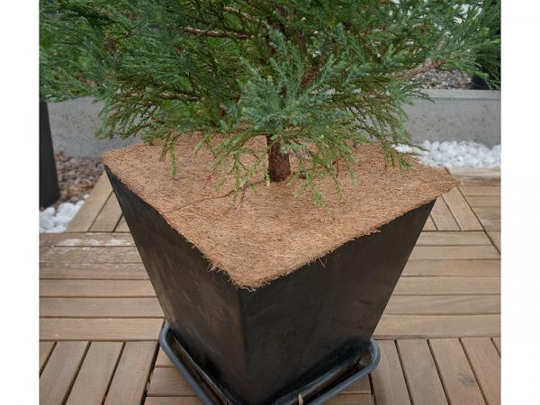 lot de 6 disques de coco ronds & carrés, 98% coco & 2% latex naturel, 3 de chaque