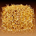 Wunderschöne LED-Büschel-Lichterkette, 2000 warmweisse LEDs, 8 Leucht-Modi, I...