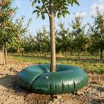 Tree irrigation ring 55 L for shrubs & trees – irrigation bag made of robust ...