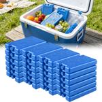 Set of 24 ice packs for cooler bag & lunch box – 200 g each, flat & reusable ...