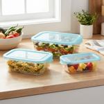 Set of 3 glass storage containers with lids – heat-resistant, ideal for oven ...