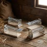 4er-Set Maus-Käfigfalle - Wiederverwendbare Lebendfalle für innen und aussen ...