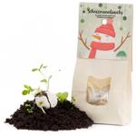 Einzigartige Schneemannbäuche: 8 Fantastische Samenbomben für eine Blühende, ...