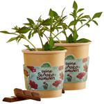 2er-Set Wunderschöne Schokoblumen Anzucht-Set im Becher – Starten Sie Ihr Duf...