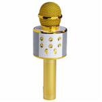 Wireless karaoke microphone with speaker gold – Bluetooth 5.0 for singing & p...