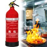 2L foam fire extinguisher, fluorine‑free, fire class A/F, extinguisher with p...