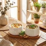 Elegant tapas bowl set with 2 white porcelain bowls of 200 ml each on a natur...