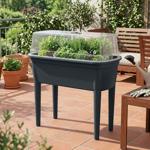 Serra compatta antracite 47 l, stazione di semina con coperchio e gambe: box ...