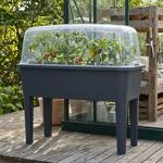 Praktisches Gewächshaus Anthrazit 52 Liter: Hochbeet mit Deckel und Belüftung...