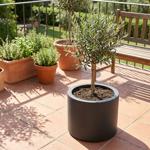 Moderner Blumentopf Rund Ø47cm in Anthrazit, Pflanzkübel 40L aus Kunststoff f...